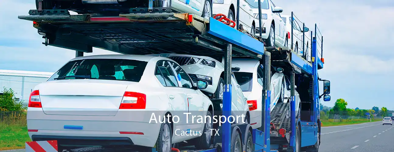 Auto Transport Cactus - TX
