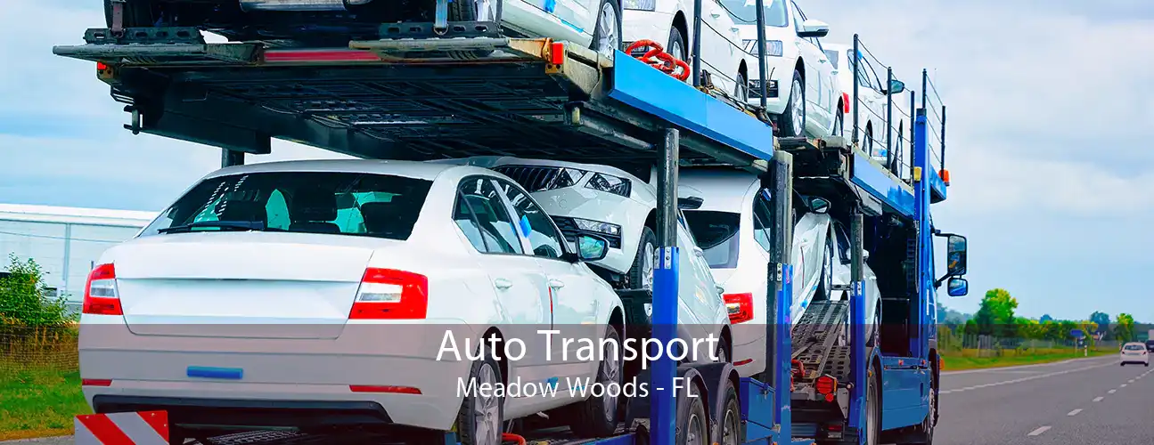 Auto Transport Meadow Woods - FL