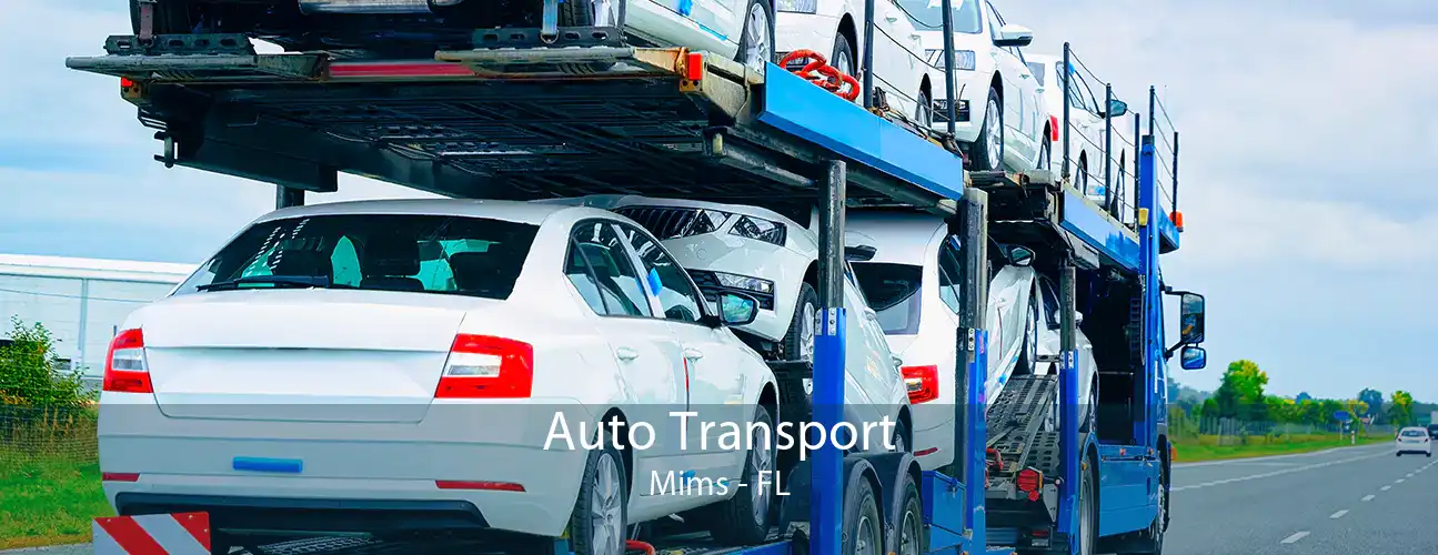 Auto Transport Mims - FL