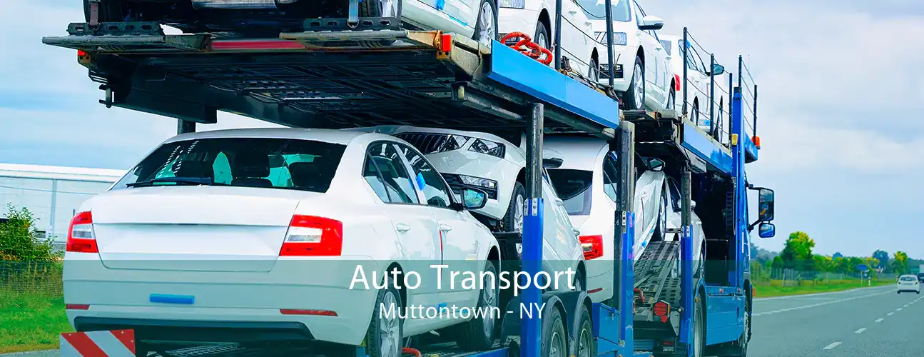 Auto Transport Muttontown - NY