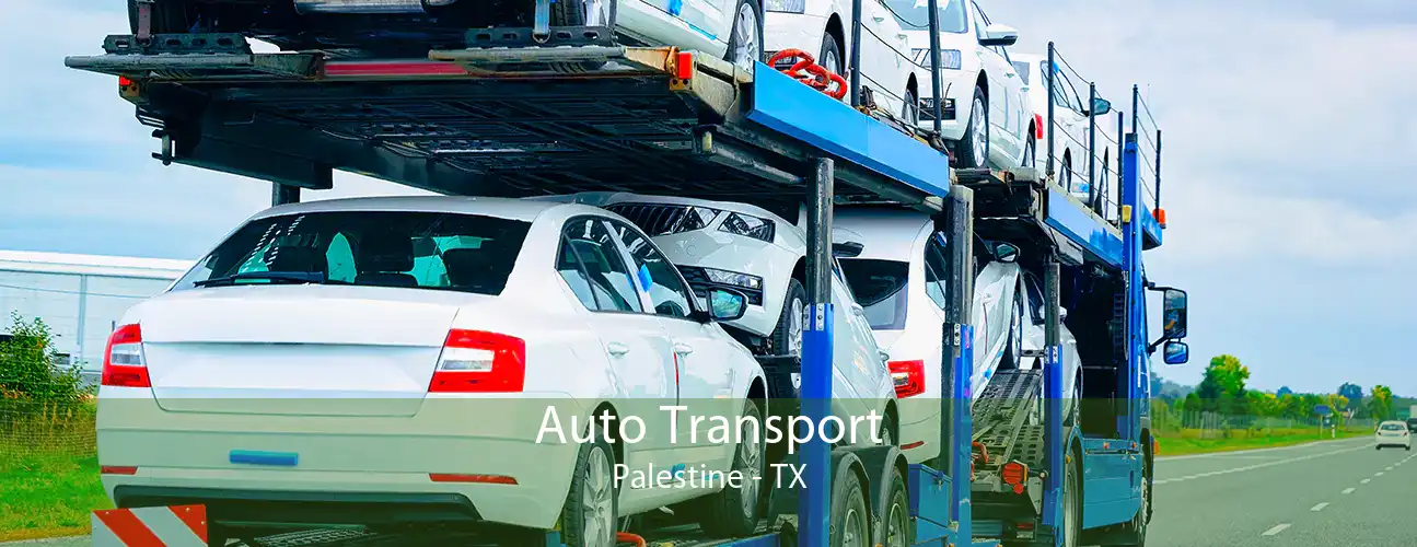 Auto Transport Palestine - TX
