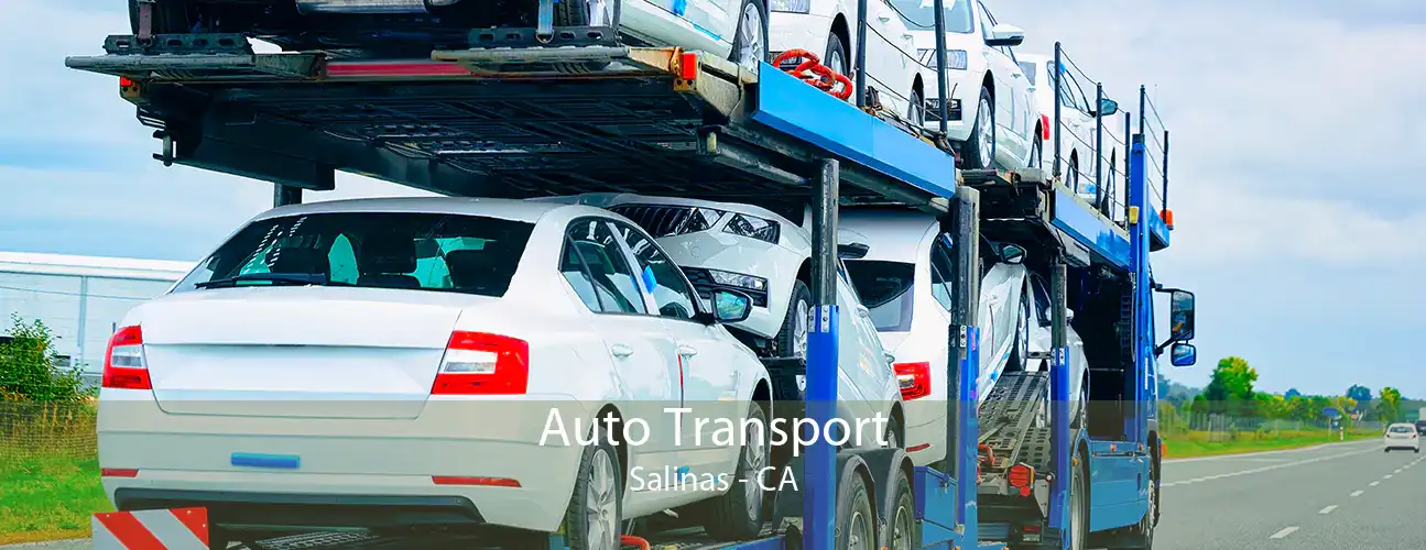 Auto Transport Salinas - CA