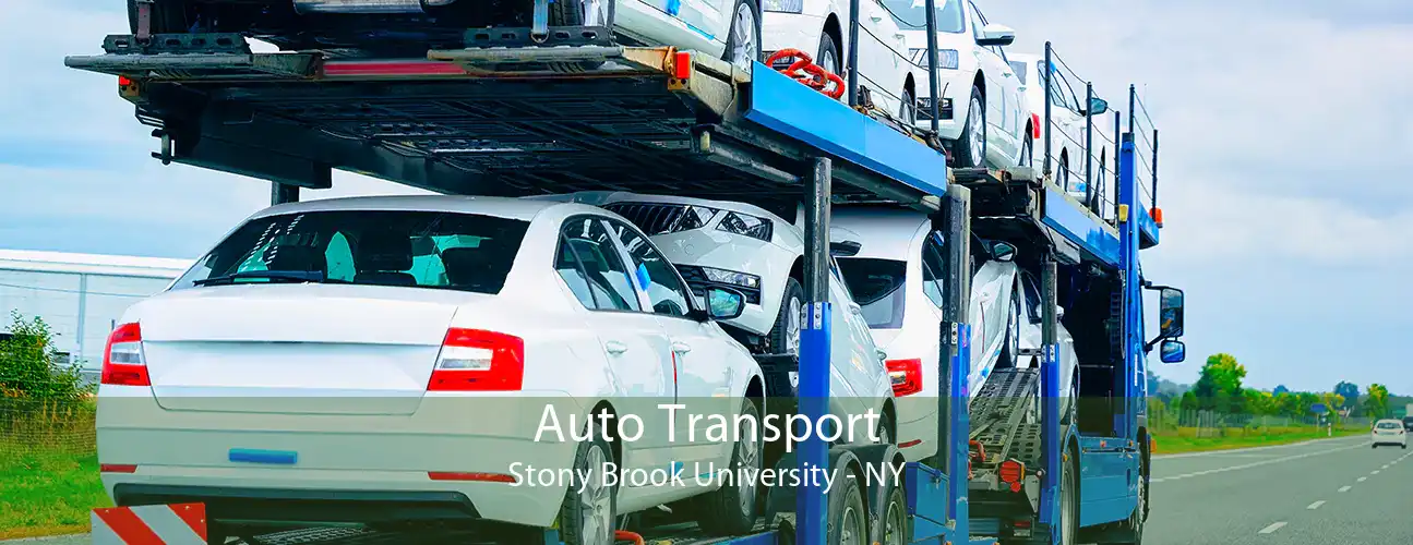 Auto Transport Stony Brook University - NY