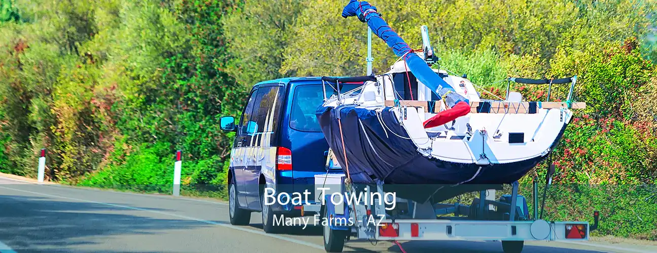 Boat Towing Many Farms - AZ