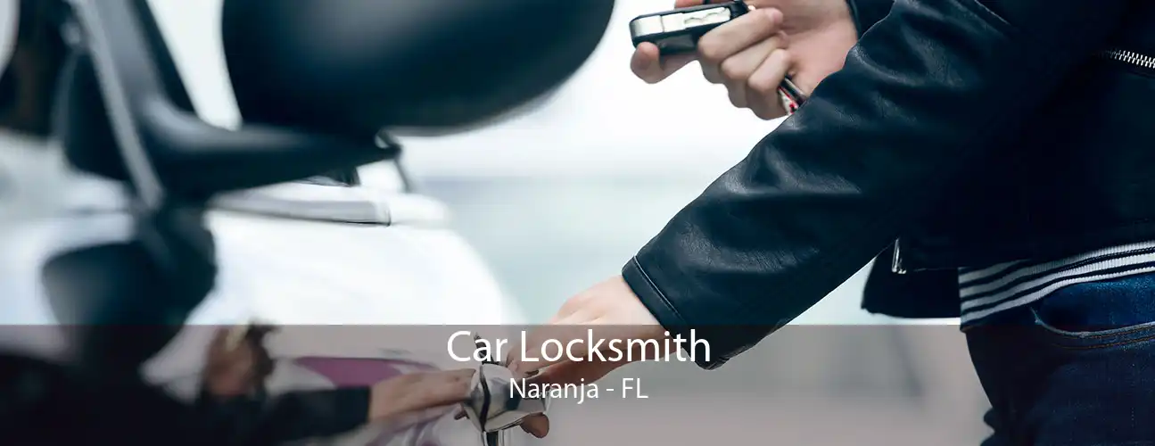 Car Locksmith Naranja - FL