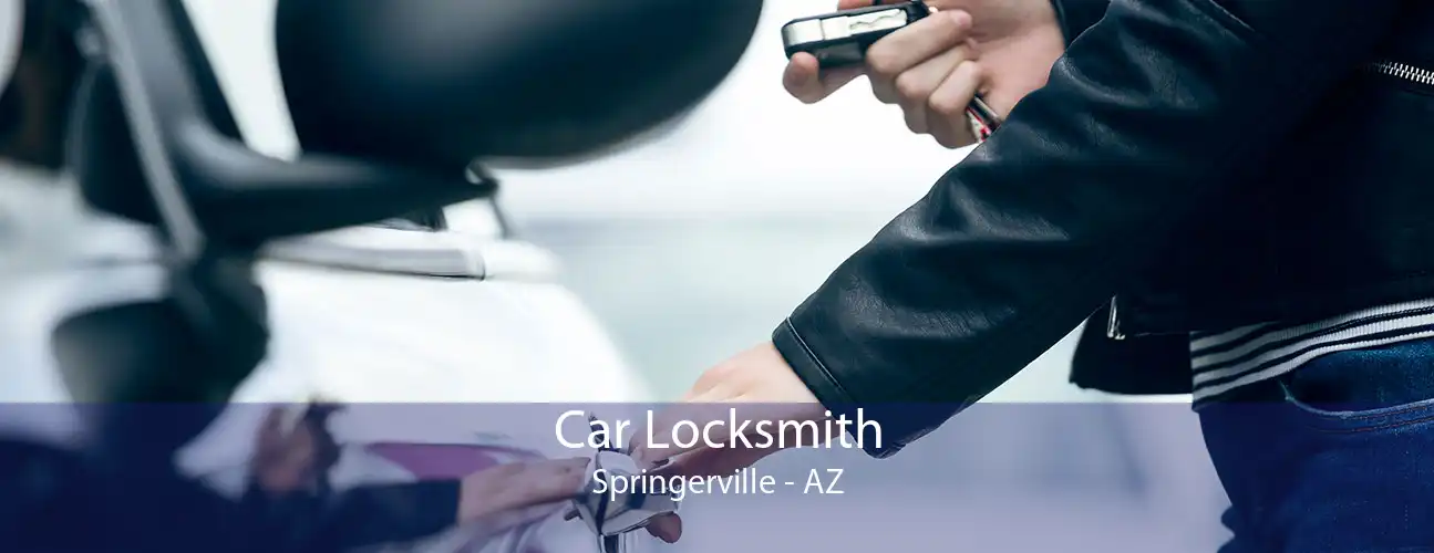 Car Locksmith Springerville - AZ