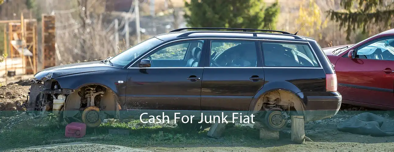 Cash For Junk Fiat 