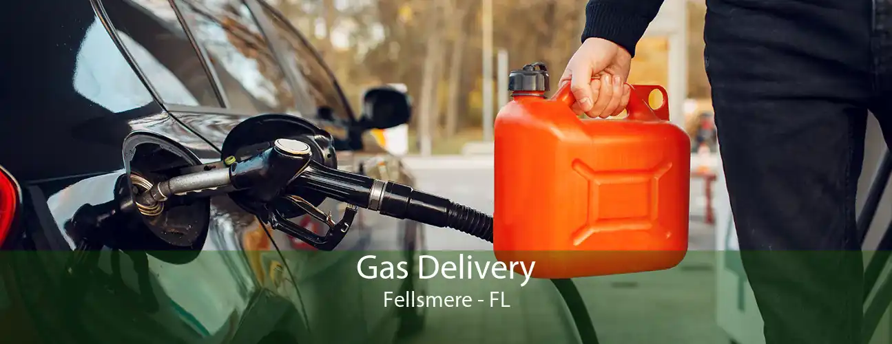 Gas Delivery Fellsmere - FL
