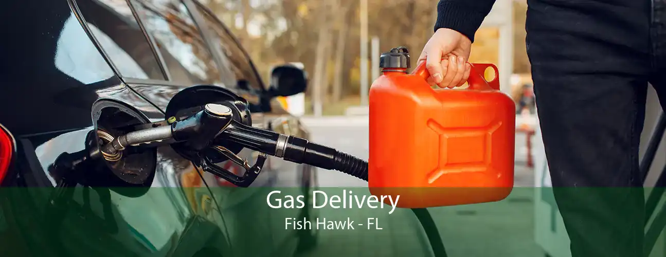 Gas Delivery Fish Hawk - FL