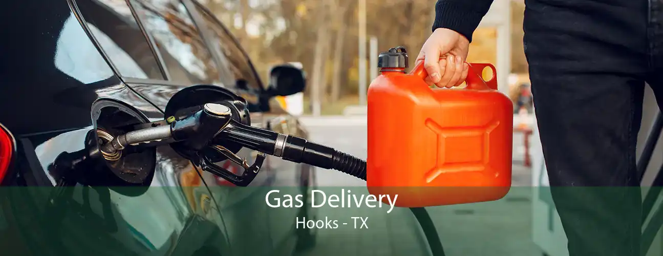 Gas Delivery Hooks - TX