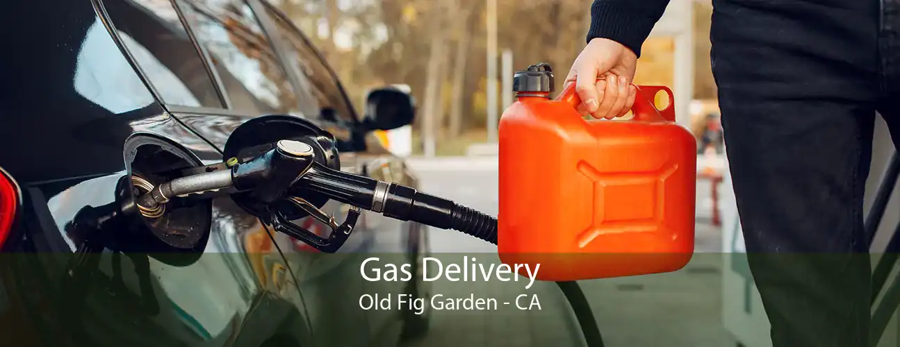 Gas Delivery Old Fig Garden - CA