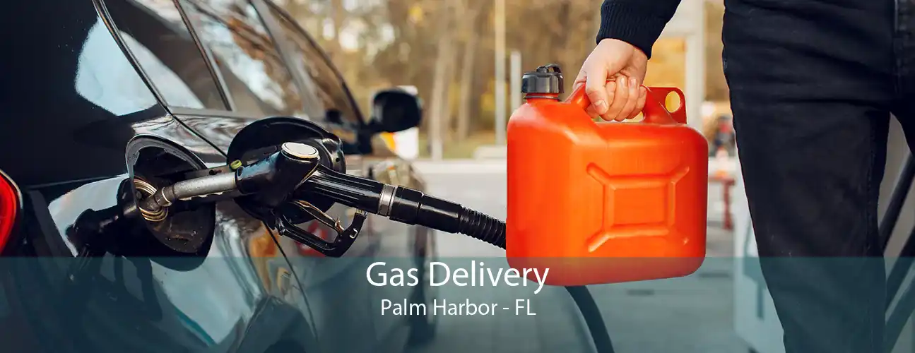 Gas Delivery Palm Harbor - FL