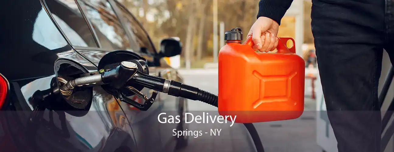 Gas Delivery Springs - NY