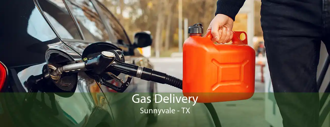 Gas Delivery Sunnyvale - TX