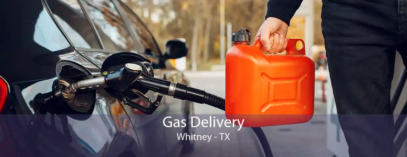 Gas Delivery Whitney - TX