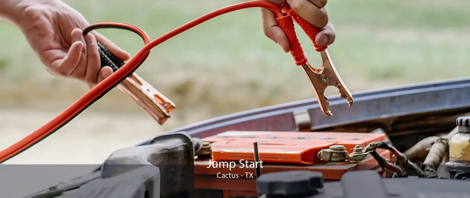 Jump Start Cactus - TX