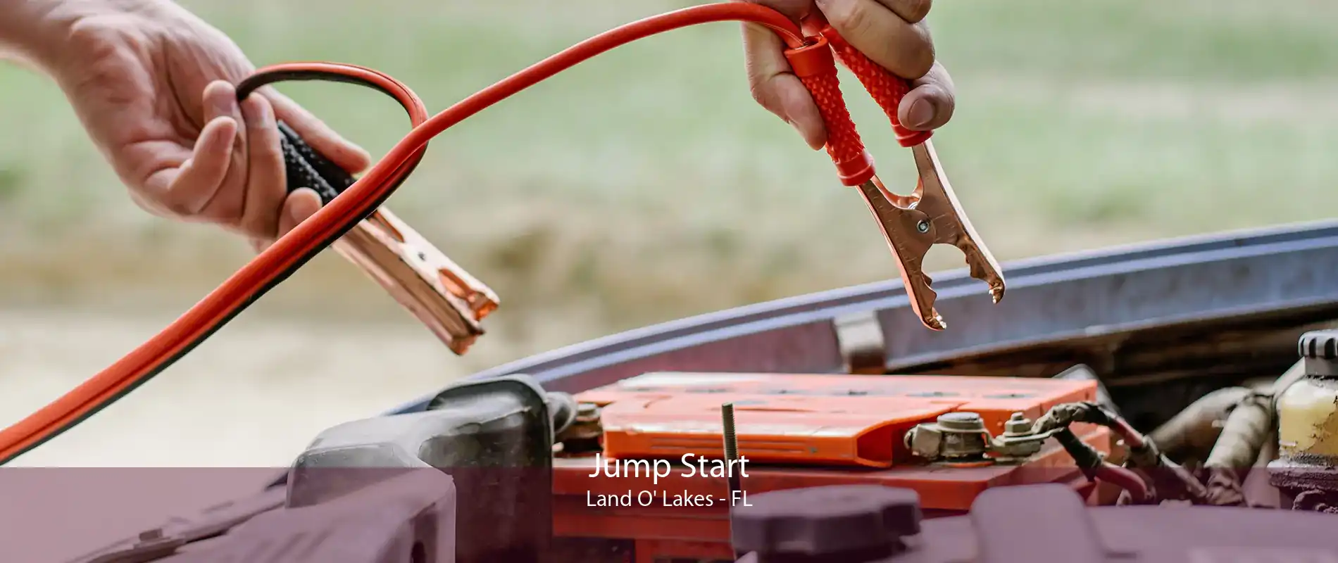 Jump Start Land O' Lakes - FL