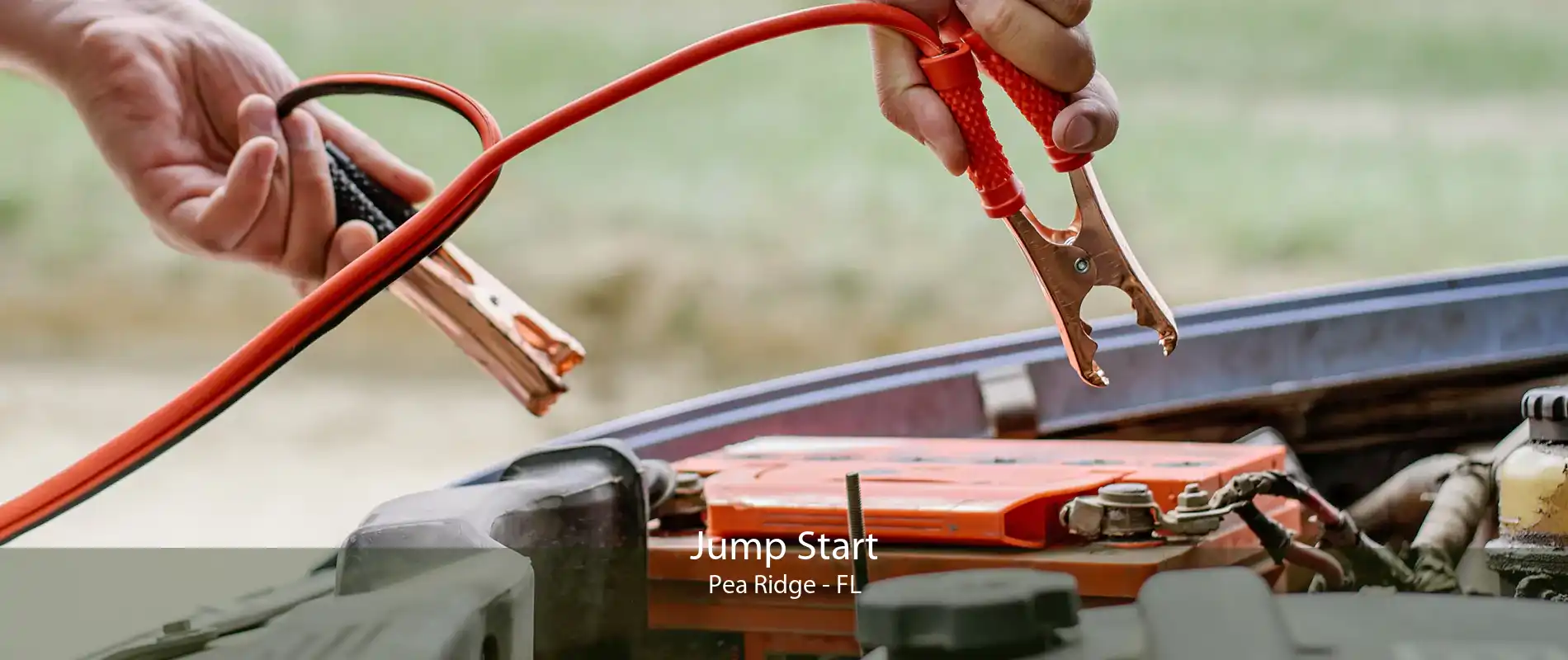 Jump Start Pea Ridge - FL