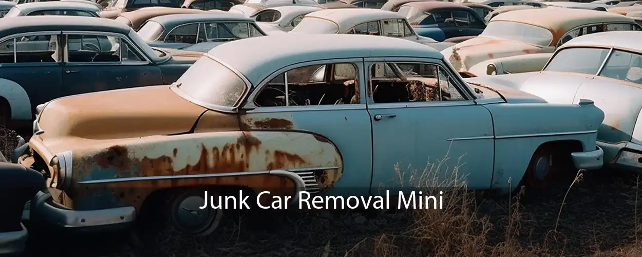 Junk Car Removal Mini