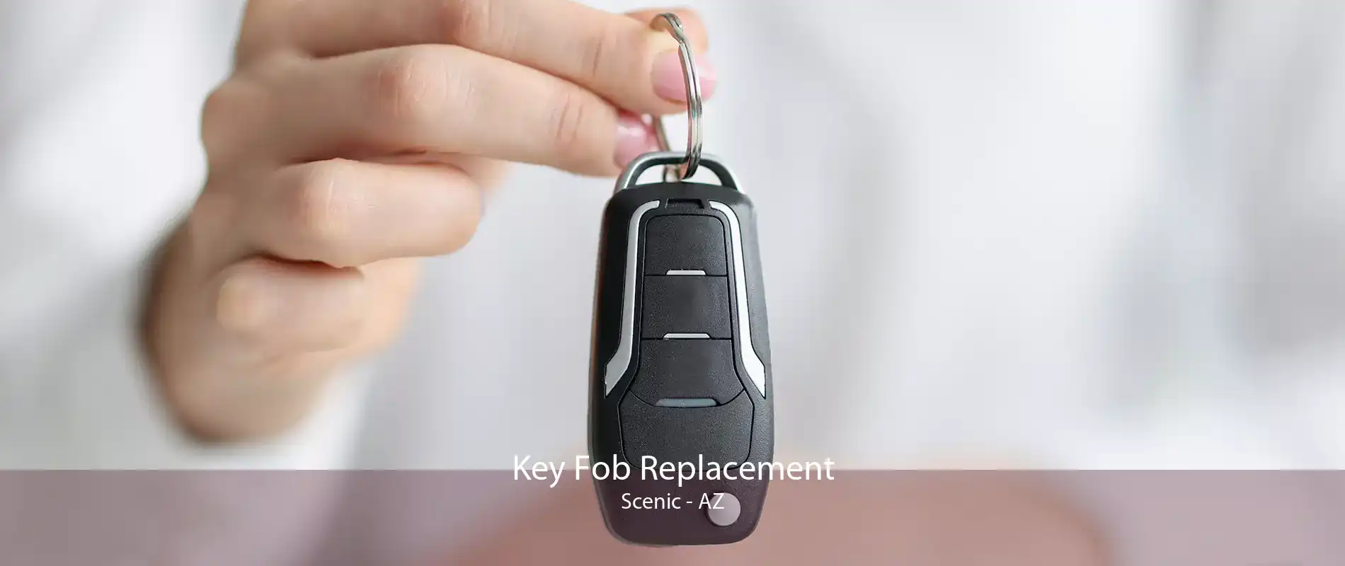 Key Fob Replacement Scenic - AZ
