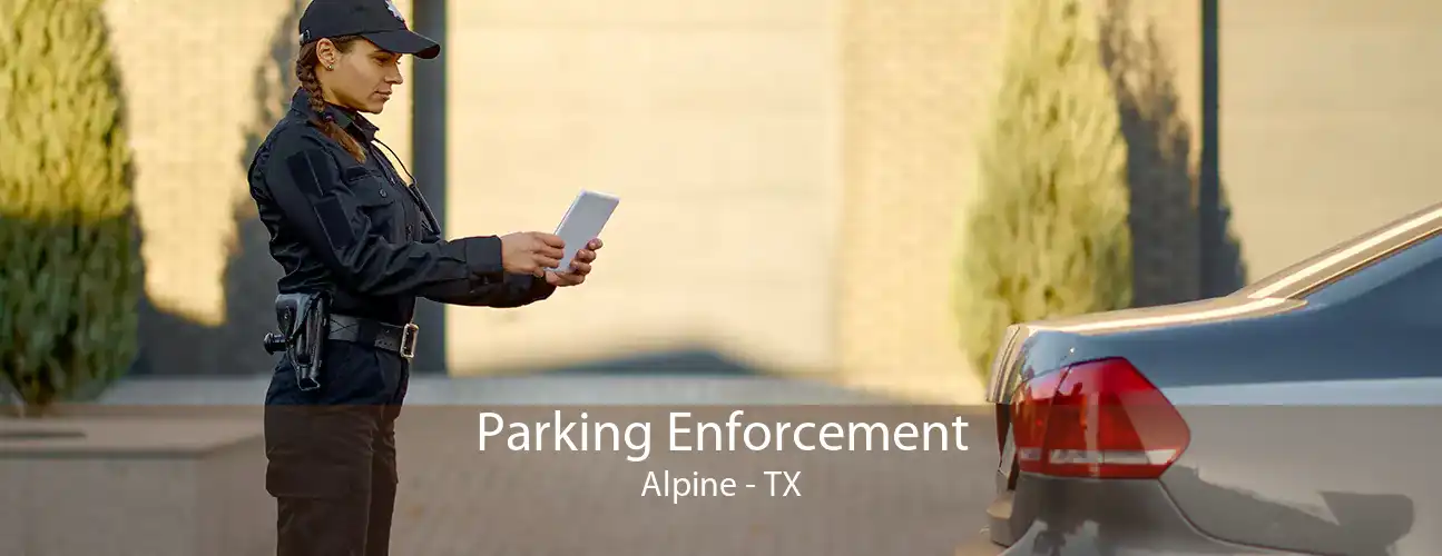 Parking Enforcement Alpine - TX