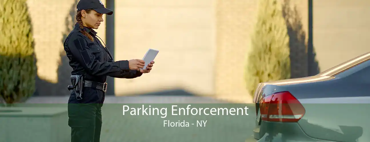 Parking Enforcement Florida - NY