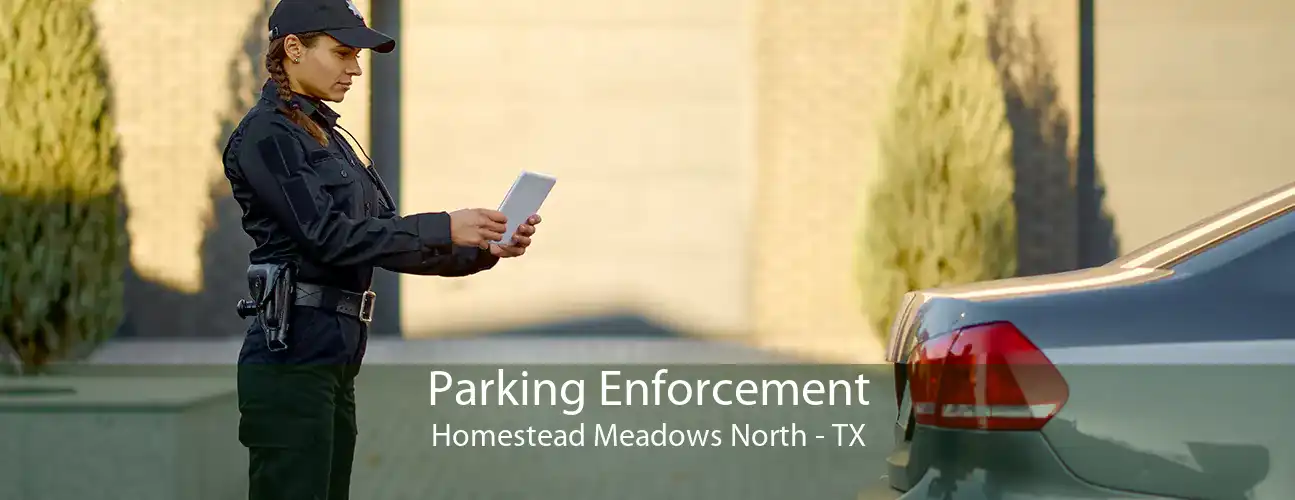 Parking Enforcement Homestead Meadows North - TX