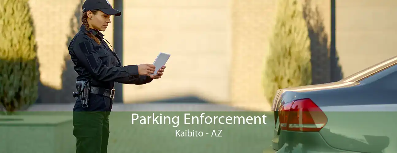 Parking Enforcement Kaibito - AZ