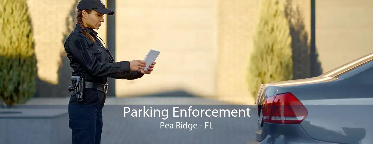 Parking Enforcement Pea Ridge - FL