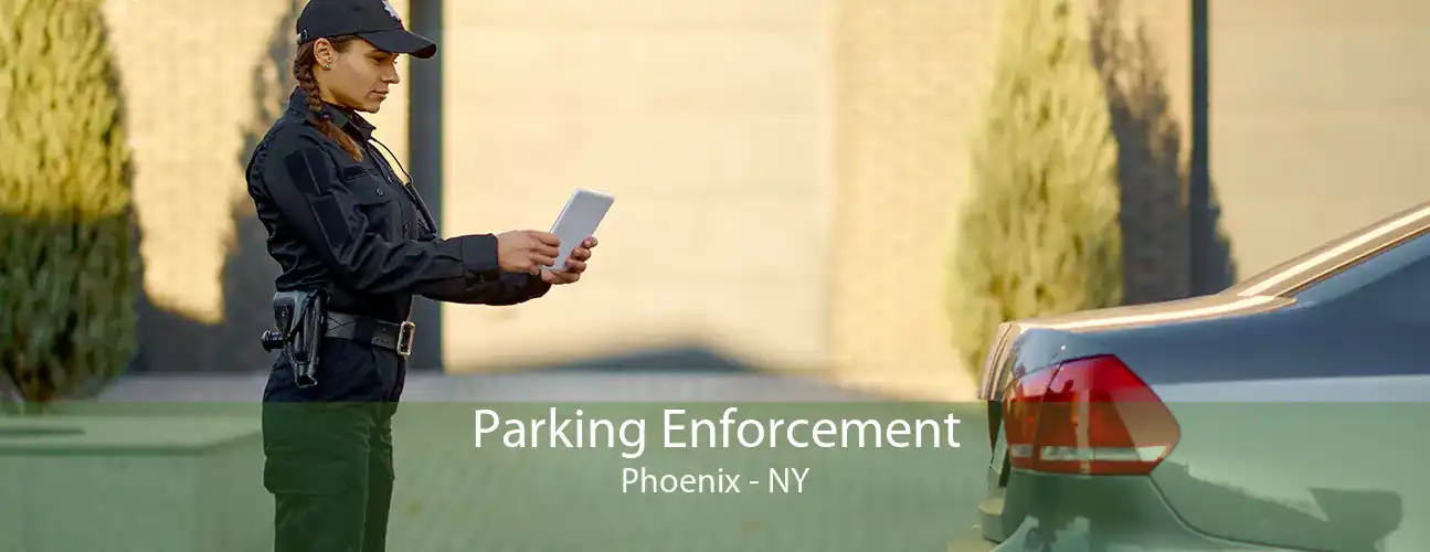 Parking Enforcement Phoenix - NY