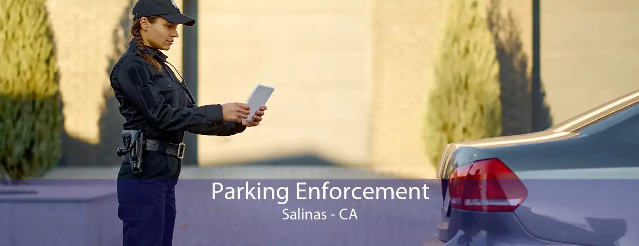 Parking Enforcement Salinas - CA