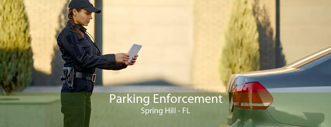 Parking Enforcement Spring Hill - FL