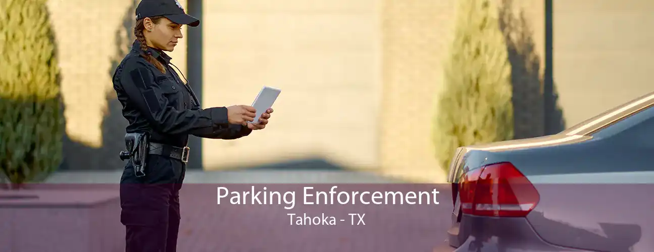 Parking Enforcement Tahoka - TX