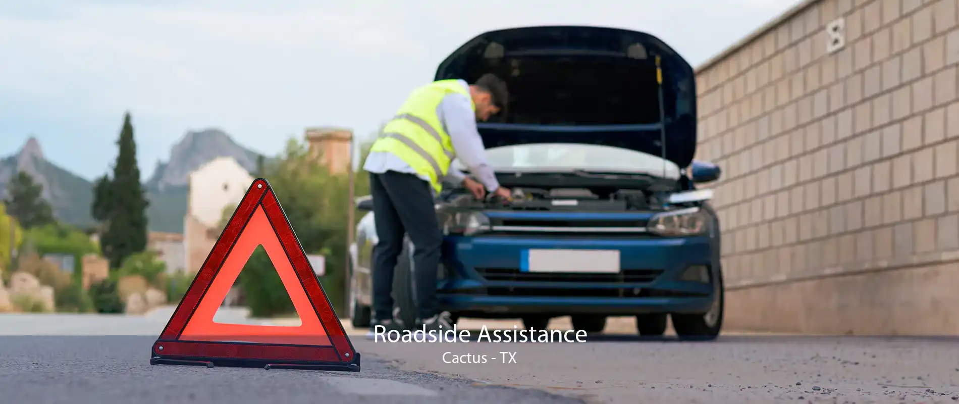 Roadside Assistance Cactus - TX