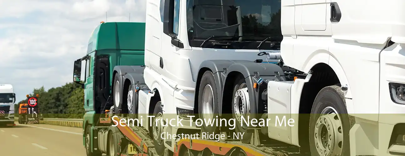 Semi Truck Towing Near Me Chestnut Ridge - NY
