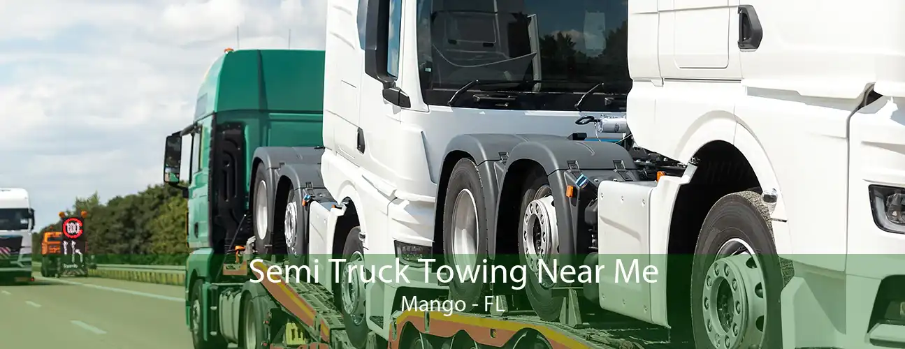 Semi Truck Towing Near Me Mango - FL