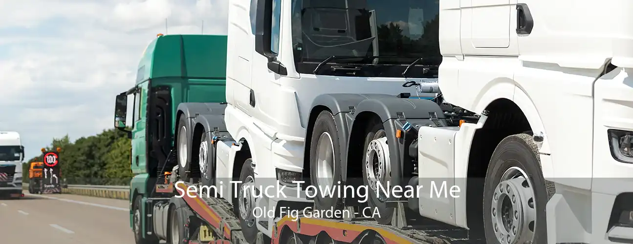 Semi Truck Towing Near Me Old Fig Garden - CA