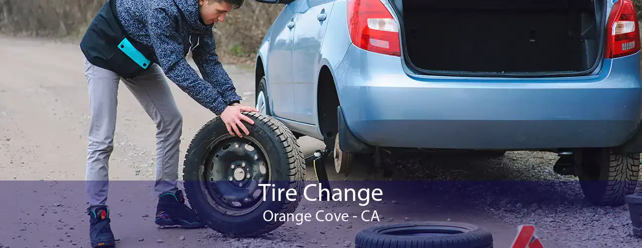 Tire Change Orange Cove - CA