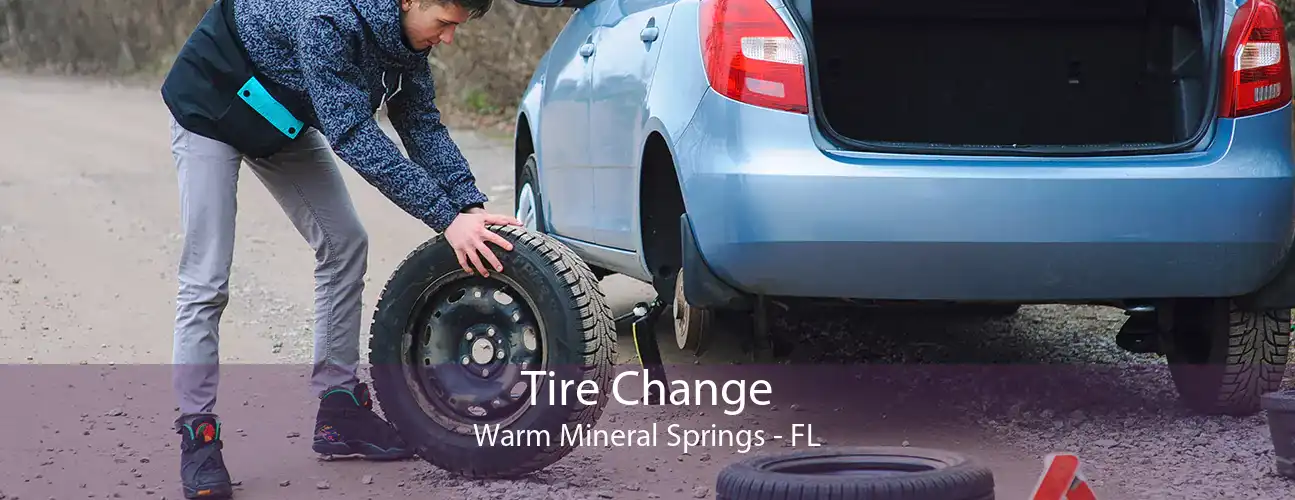 Tire Change Warm Mineral Springs - FL