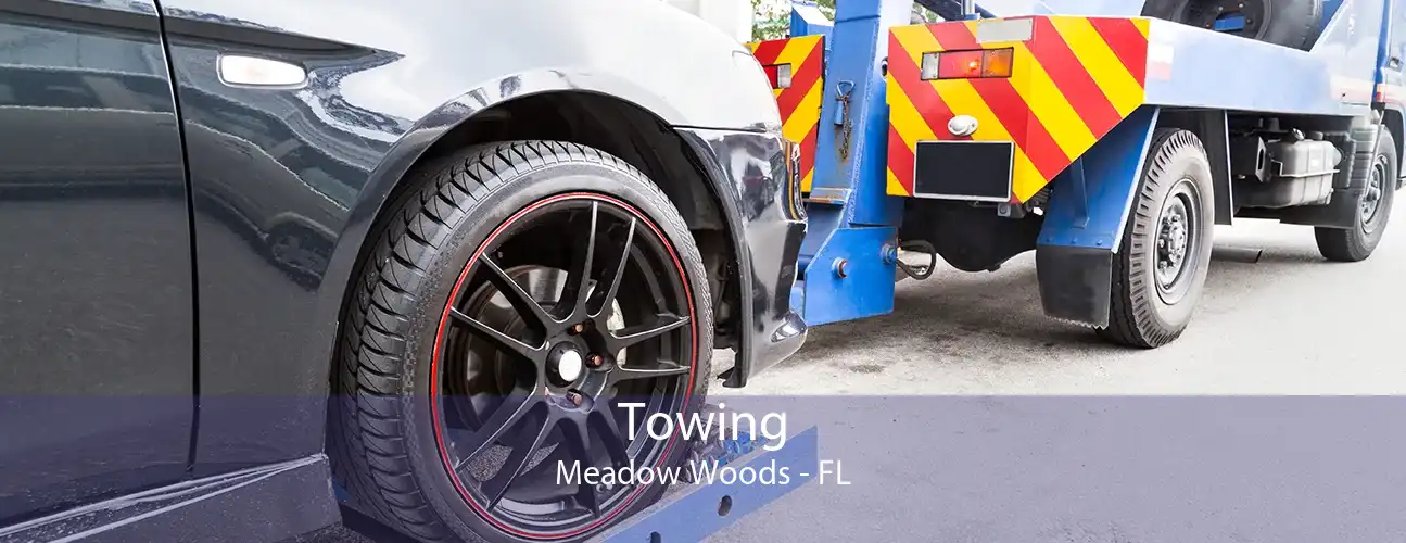 Towing Meadow Woods - FL