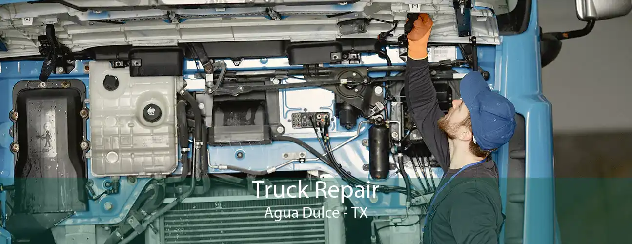Truck Repair Agua Dulce - TX