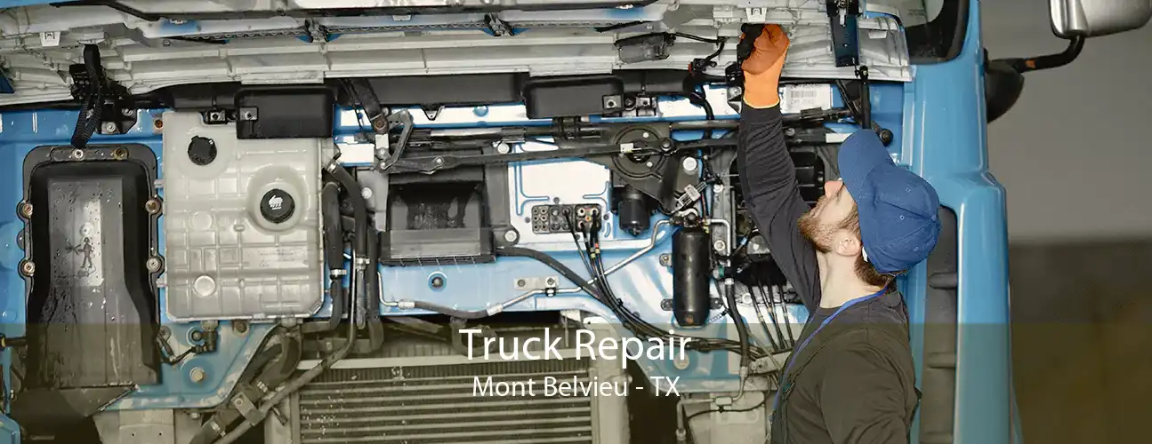 Truck Repair Mont Belvieu - TX
